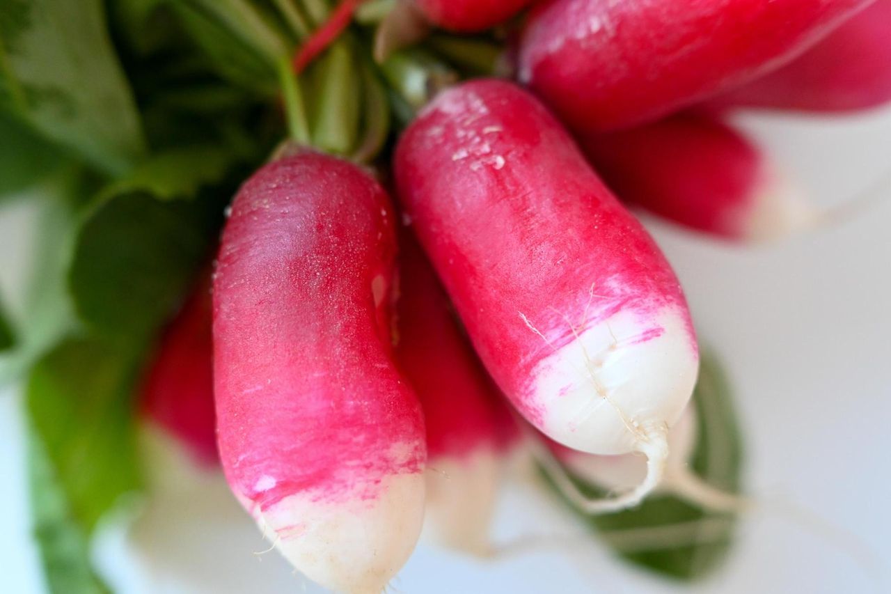 Sezon na to warzywo właśnie ruszył. Pomoże obniżyć cukier i wesprze wątrobę