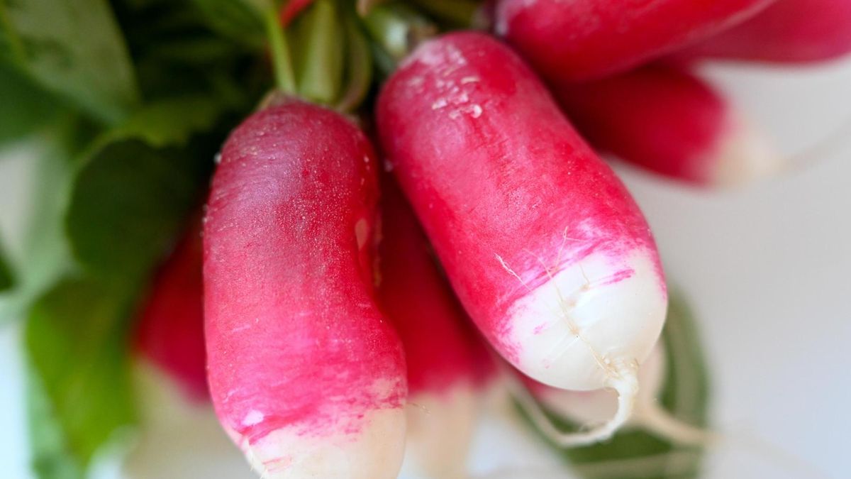 Rzodkiewka to skarb z ogródka