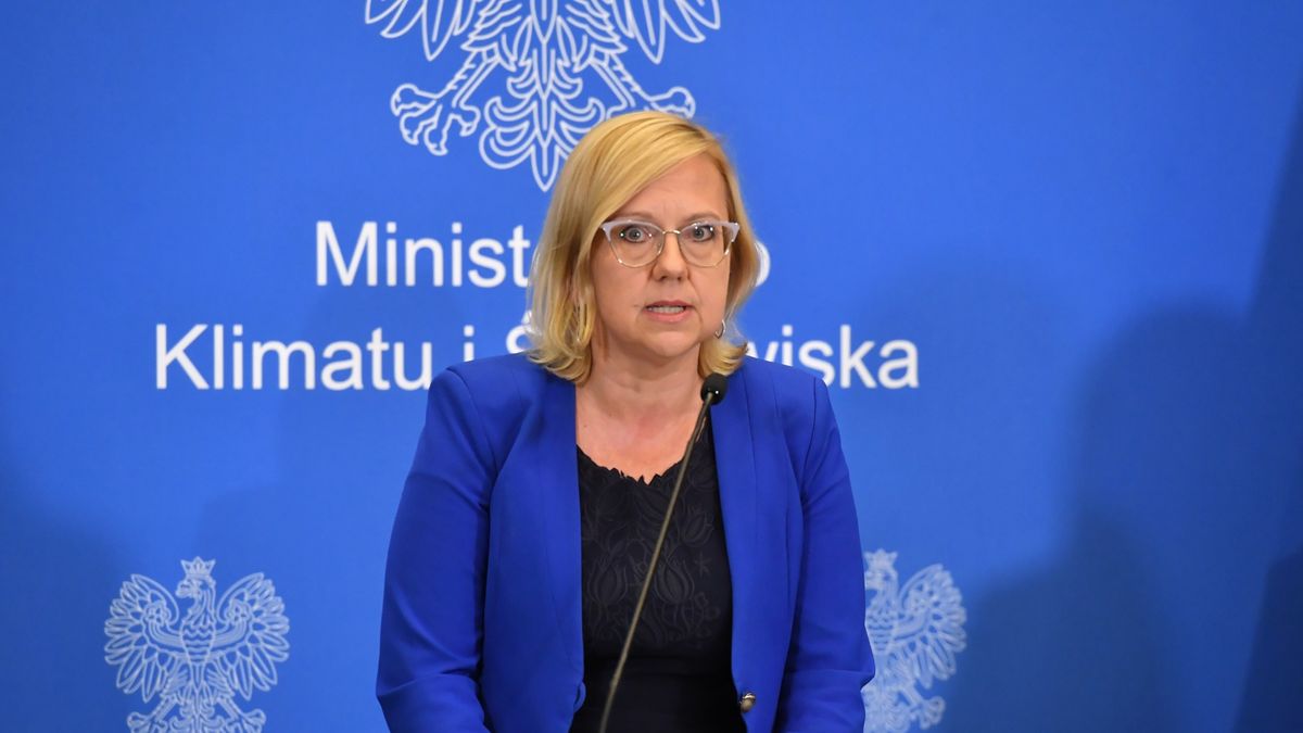 Minister Klimatu i Środowiska Anna Moskwa poinformowała we wtorek, że resort wciąż szuka przyczyny katastrofy na Odrze.