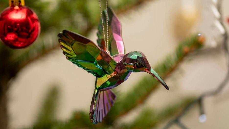 Boże Narodzenie, kolorowy koliber