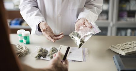 Pacjenci mają problem z medyczną marihuaną. "GIF wchodzi w rolę szeryfa"