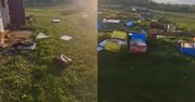 Wandale zniszczyli pasiekę pod Tarnobrzegiem. Szukają świadków