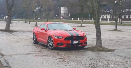 Ford Mustang o nr rej. L55H poszukiwany. Został skradziony w nocy sprzed domu