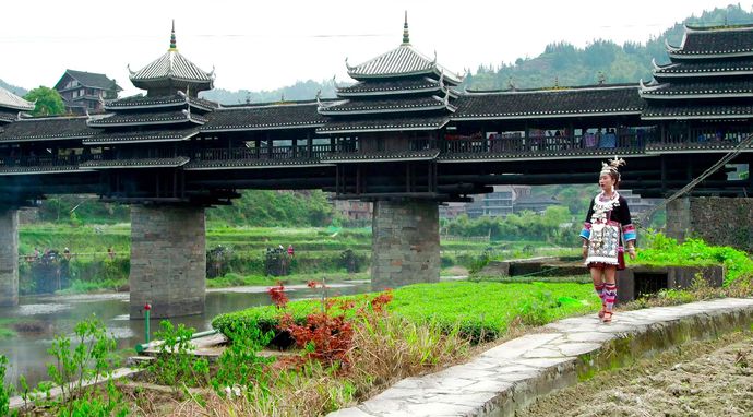 The World of Bridges