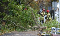 Silna burza w Warszawie. Wiatr spowodował szkody
