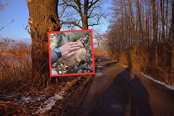 11 marca poszedł do lasu. "Bydlak" czaił się pod brzozą. Spójrzcie