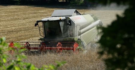 KE nie przedłużyła embarga na ukraińskie zboże dla 5 krajów. Wśród nich Polska