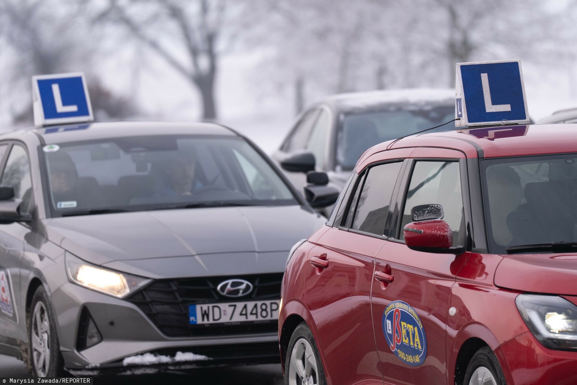 Prawo jazdy na nowo. System do modyfikacji