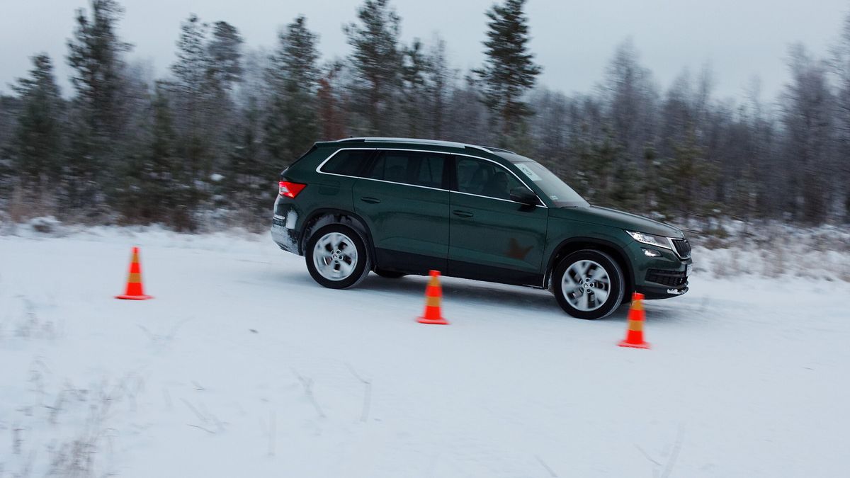 Miejsca na szaleństwa nie było wiele. Tor wyznaczono pośród leśnych drzew