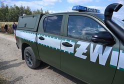 Szczątki rakiety w Choinach? Jest komunikat Żandarmerii Wojskowej