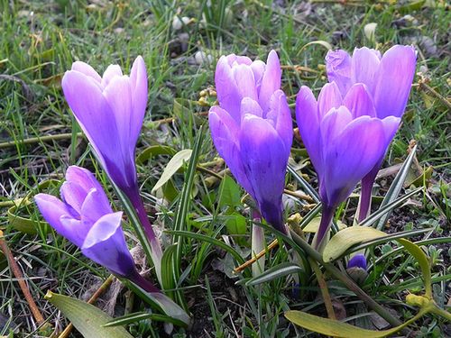 Nikon Coolpix P100, czyli ultrazoom bez kompromisów - TEST część 2 24