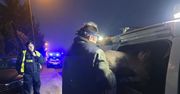 Poznań: Chora sarna na miejskim polu. Służby zawiadomiła mieszkanka