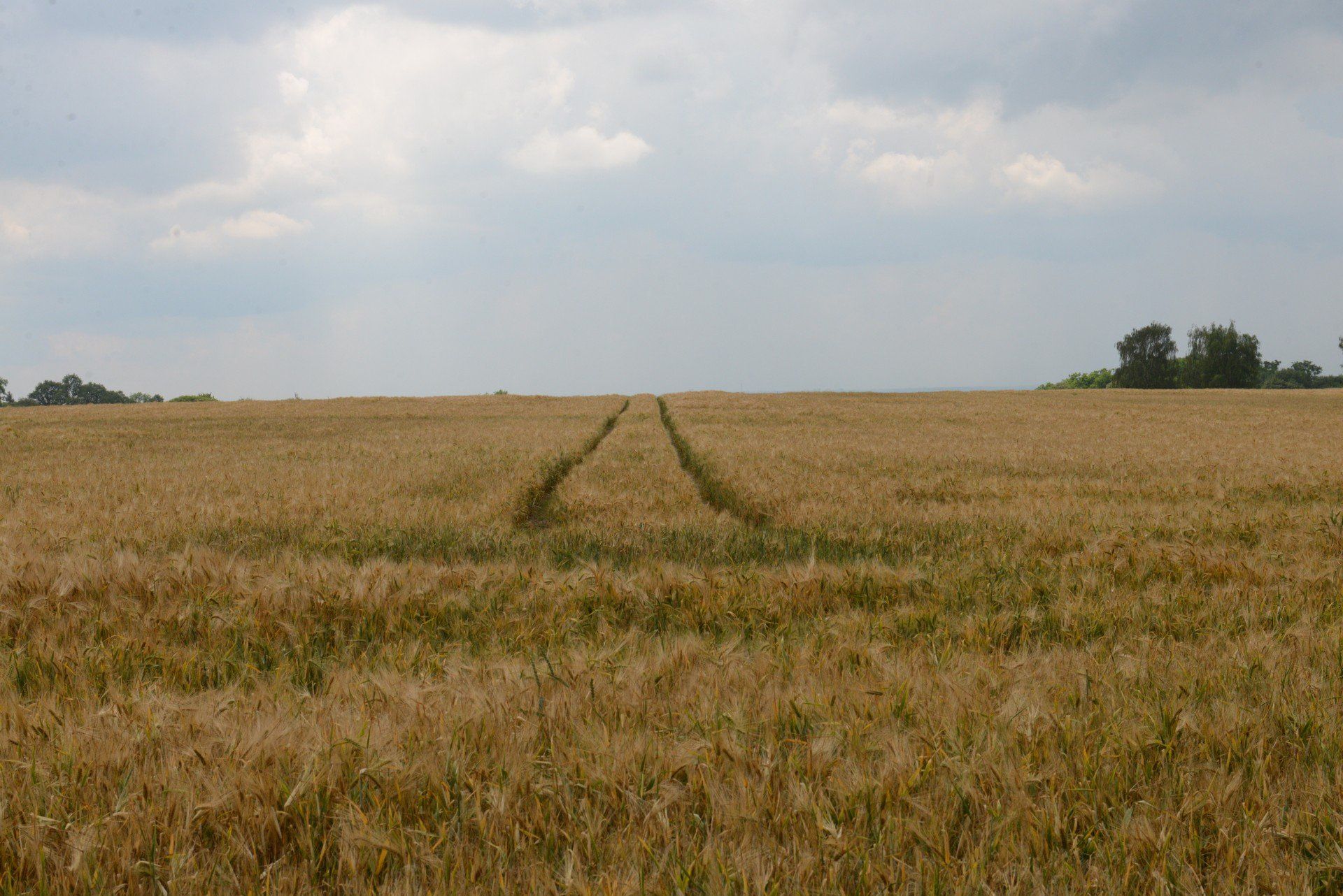 14. Malinówka (powiat zamojski)