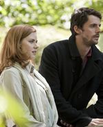 Amy Adams zaczarowana przez Irlandię