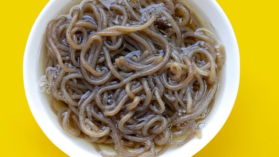 Makaron konjac w białej miseczce