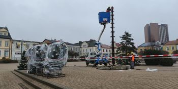 Tarnobrzeg: Choinka wraca na Pl. Bartosza Głowackiego