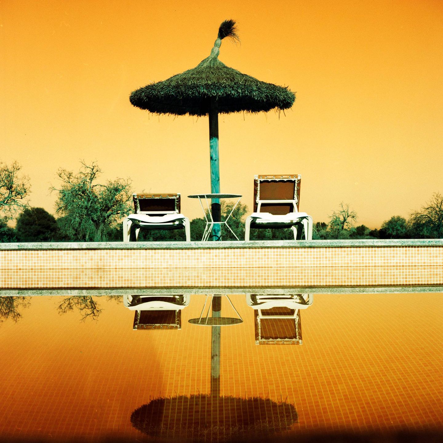 Fotografia tradycyjna umiera, a Lomography wskrzesza Turquoise 6