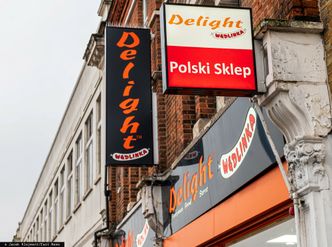 Brytyjczycy masowo wybierają Polskę. Rafał Brzoska: Czas na drenaż mózgów