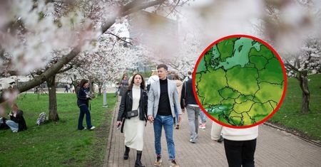 Nagłe ocieplenie. Nawet 17 stopni