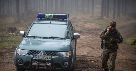 Kontrole w lasach. W akcji Straż Leśna i drony