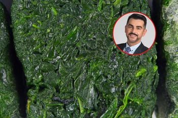 "Brain foods". Jakie produkty wspierają pracę mózgu?