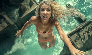 Zgarnął 300 mln dolarów. Mógł zarobić więcej. Już do obejrzenia w domu