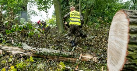 Po huraganach polisy majątkowe podrożeją. Przedsiębiorcy mogą je odczuć w momencie odnawiania umów