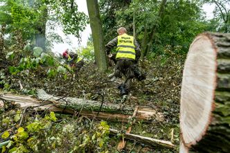 Po huraganach polisy majątkowe podrożeją. Przedsiębiorcy mogą je odczuć w momencie odnawiania umów