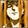 Avatar @disign
