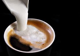 Kawa - charakterystyka i rodzaje. Jak kawa wpływa na zdrowie?