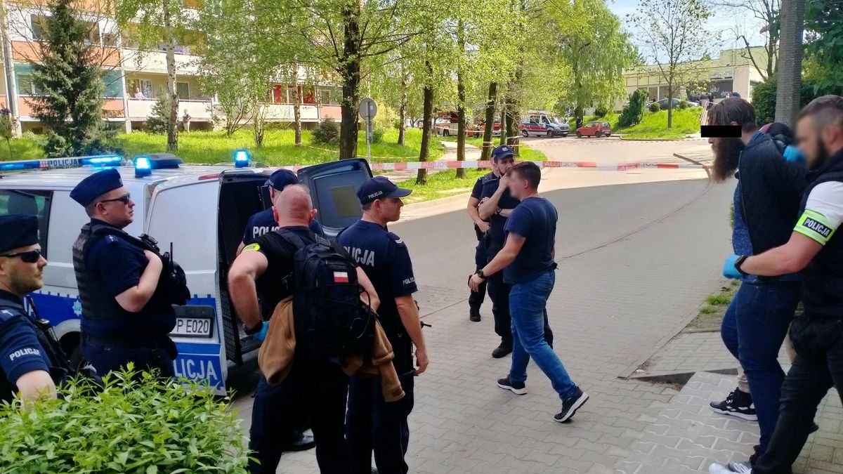 zdjęcie