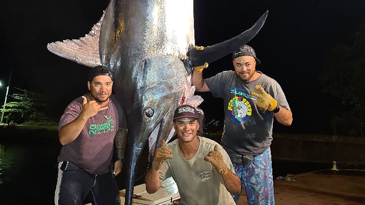 Rybacy z Polinezji Francuskiej wyłowili ważącą blisko 500 kg rybę