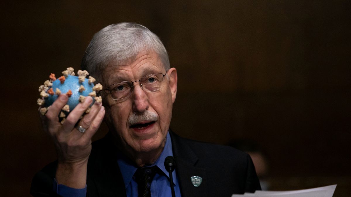 fot. Graeme Jennings/Getty Images