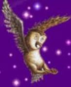 Harry Potter i Zakon Feniksa sprzedany