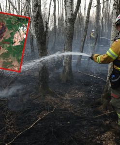 Pożar mniejszy niż zakładano? Zdjęcia satelitarne ujawniły prawdę