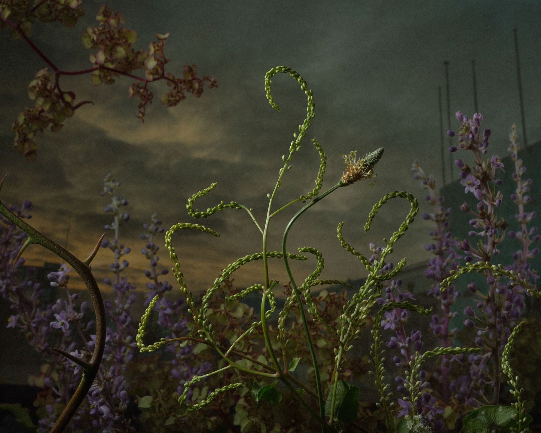 Dwóch Polaków wśród zwycięzców prestiżowego konkursu Magnum Photography Awards 2017 55