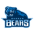 Bakken Bears