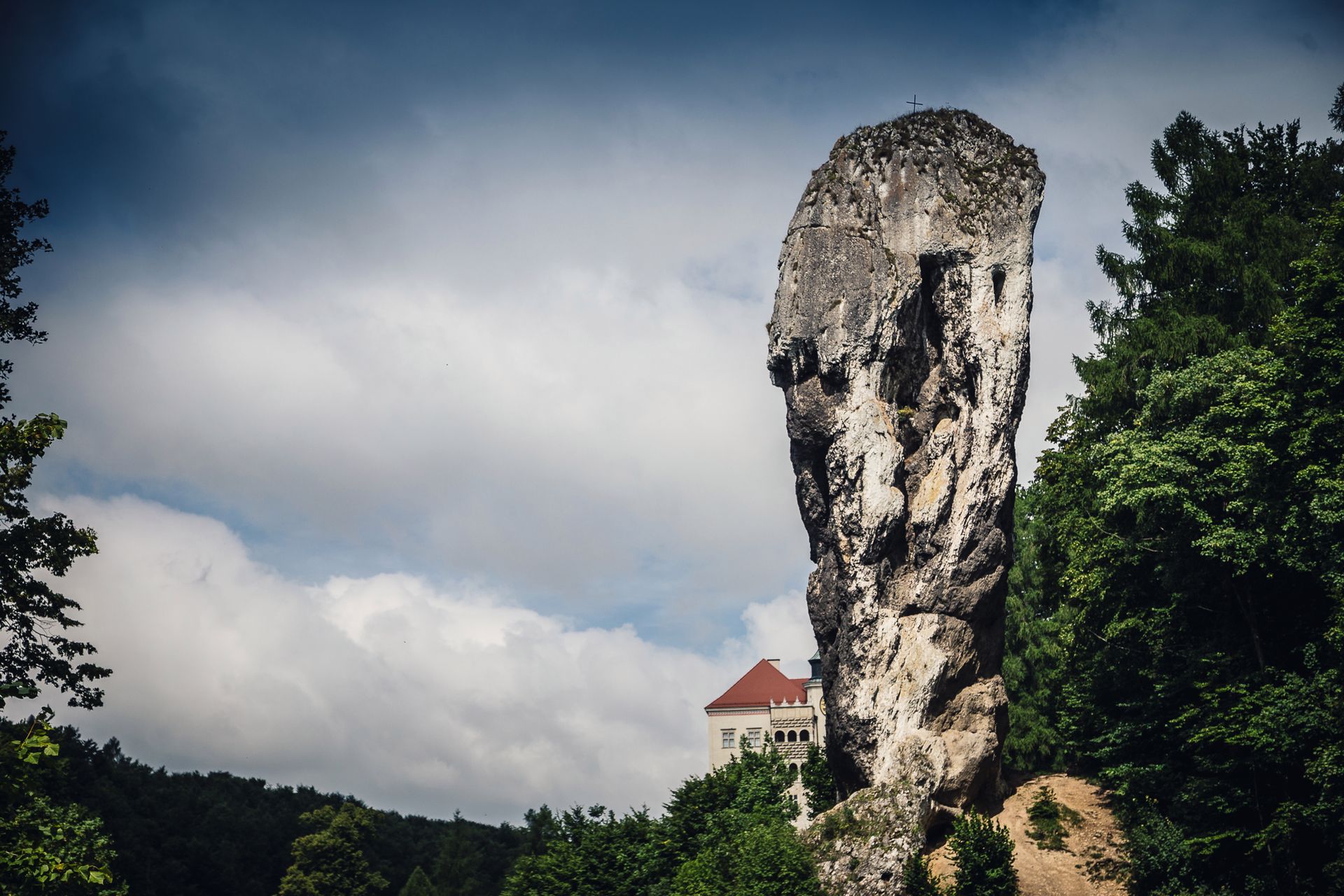 Zdjęcie ilustracyjne do artykułu