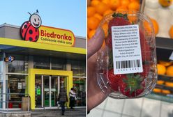 Pierwsze polskie truskawki. Oto jak prezentują się w opakowaniu