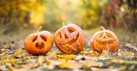 Co zrobić z dynią po Halloween? Wykorzystaj w kuchni lub do dekoracji