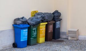 Mandat za złą segregację śmieci. Jakich błędów unikać w czasie sortowania?