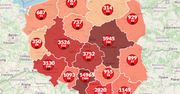 Koronawirus w Polsce. Rośnie liczba dobowych zachorowań [Aktualna mapa zakażeń]
