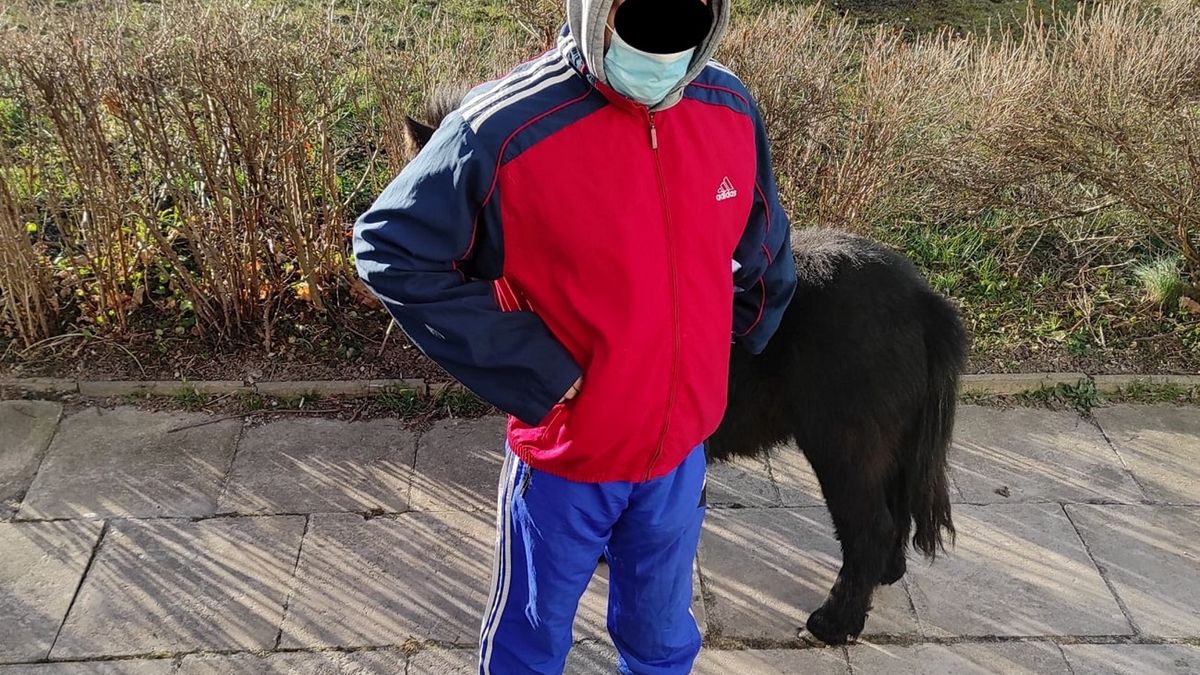 Mężczyzna trzymał kucyka w bloku