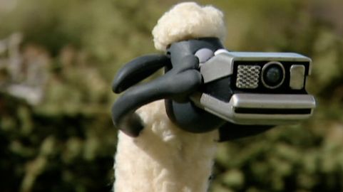 Na co owcy Polaroid? 1