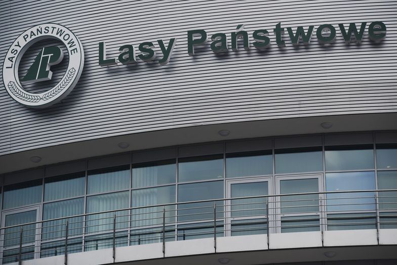 Lasy Państwowe nie będą prywatyzowane ani restrukturyzowane