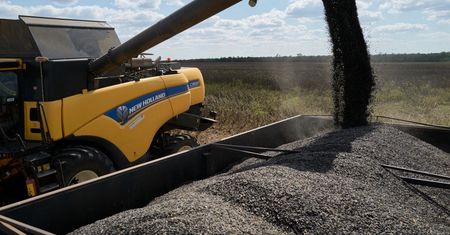 Ukraiński gigant rolniczy na zakupach. Jest duża transakcja
