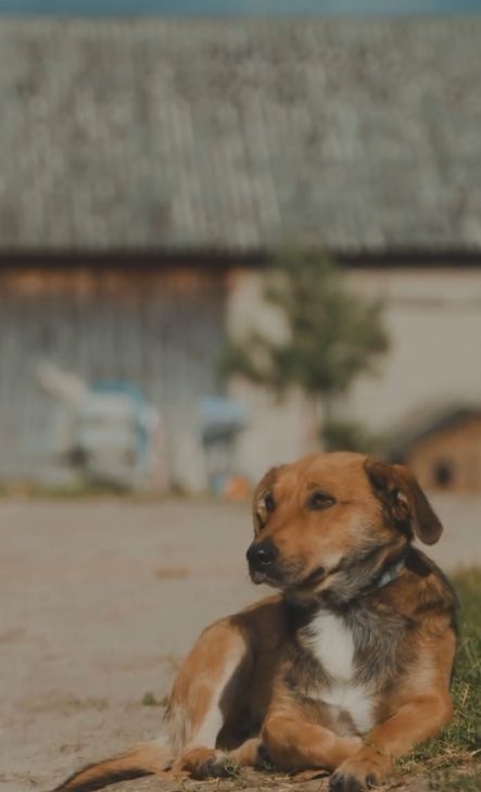 Ewa Pajor pokazała rodzinne strony 