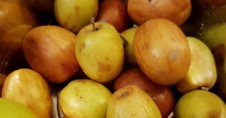 Wygląda jak śliwka, smakuje jak jabłko. Ten niezwykły owoc to totalny kameleon