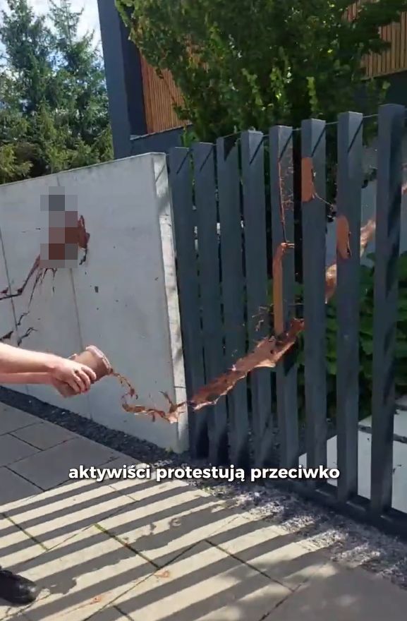 Aktywiści zaatakowali dobytki gwiazd