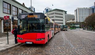 Dają 14 tys. zł na start. Szukają Polaków do pracy w Norwegii